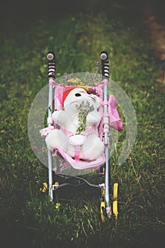 Baby carriage on the meadow on sunny summer day.