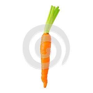 Baby Carrot isolated white background