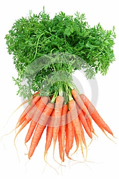 Baby Carrots