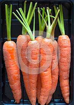 Baby carrots in a plastic container close up