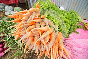 Baby carrots in streen market.
