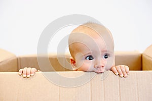 Baby in a carton box