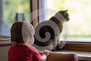 Baby with cat at window