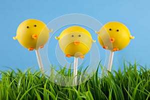 Baby chick cake pops