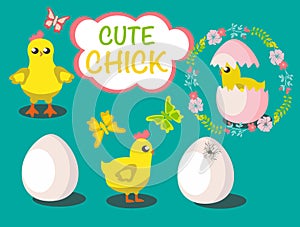 baby chick and eggs illustration for kids