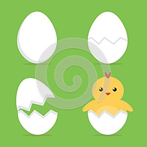 Baby chick hatching from the egg process. Flat design vector illustration