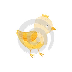 Baby Chick on a white background. Vector illustration.