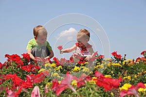 Dítě a v květiny 