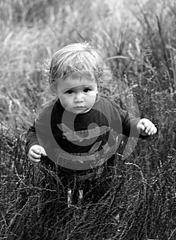 Baby child on the green grass in autumn park. Baby face close up. Funny little child closeup portrait. Blonde kid