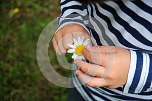 Baby child touching flower