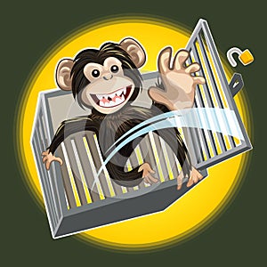 Baby Chimpanzee Breaking A Cage