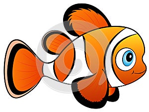 Baby Clown Fish Vector Illustration