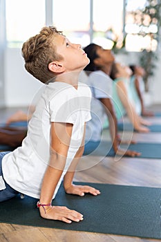 Baby cobra pose in yoga studio.