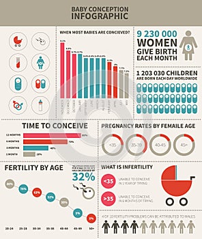 Baby conception infographic