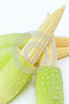 Baby corn