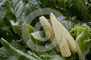 Baby Corn