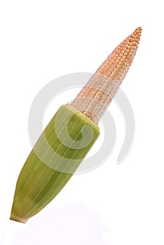 Baby corn also known as young corn, cornlets or baby sweetcorn