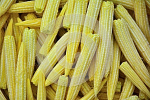 Baby corn as a background