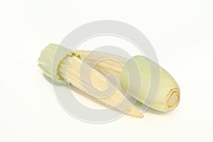 Baby corn fruit isolated on white