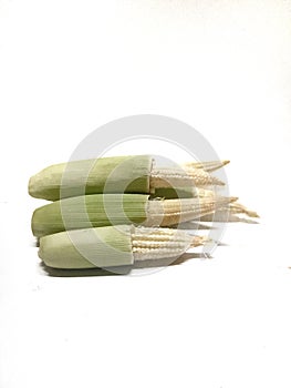 Baby corn is a grain taken from the early corn harvest while the stalks are small and not yet mature.