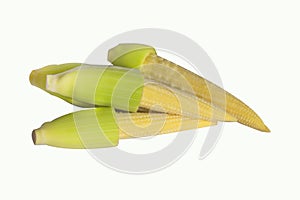 The baby corn isolated on white background
