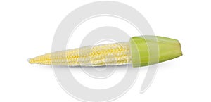 Baby corn isolated on white background, clipping path