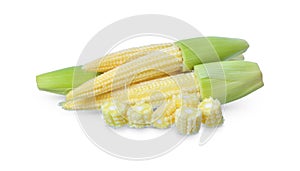 Baby corn isolated on white background, clipping path