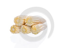 baby corn on a white background