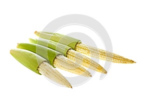 Baby Corns Isolated photo