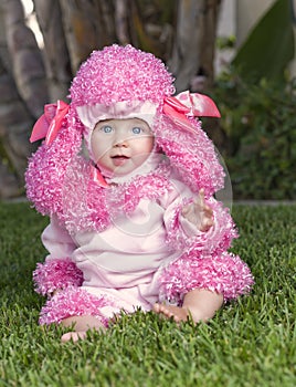 Baby in Costume, Halloween