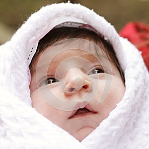 Baby in coverlet photo