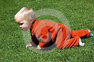 Baby crawling