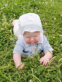 Baby crawling on the meadow