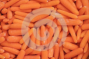 Baby Cut Carrot Background