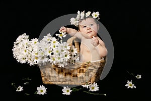 Baby in daisies