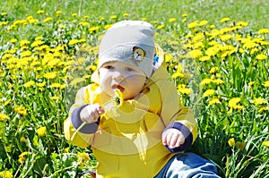 Baby among dandelions