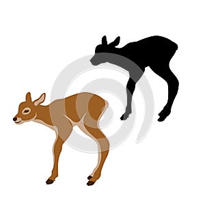 Baby deer vector illustration black silhouette