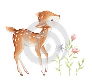Baby Deer Watercolor Clipart, Watercolor Flowers