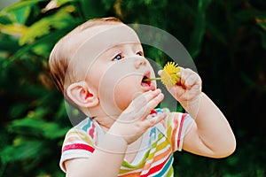 Baby devouring a flower that has plucked itself from the garden to taste its flavor