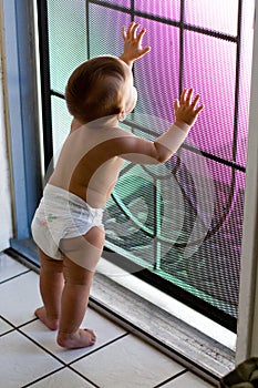 Baby in diaper looks out screen door photo