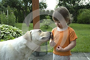 Baby, dog and img