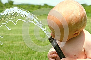 Baby Drinking Water from Garden Hose