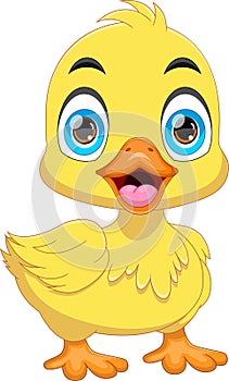 baby duck cartoon