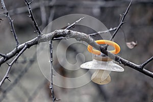 Baby dummy hanging on tree. Lost dummy.