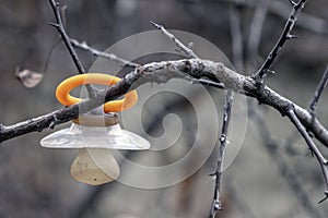 Baby dummy hanging on tree. Lost dummy.