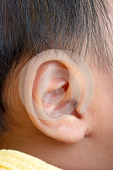 Baby ear