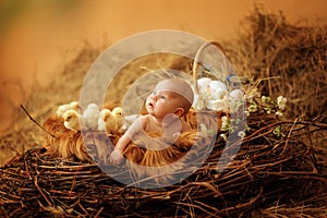 Baby in Easter nest