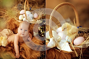 Baby in Easter nest