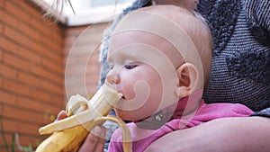 Baby eating banana from hands of mother