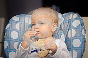 Baby eating bread